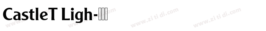 CastleT Ligh字体转换